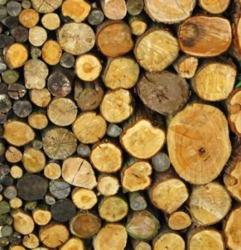 Log Pile